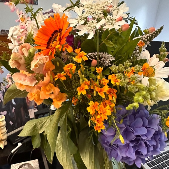 Meet your Posher, JJ - Picture 1 of 1